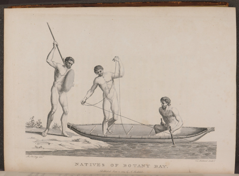 Plate 6